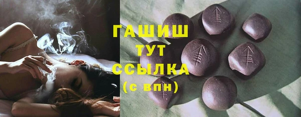 прущие грибы Богданович
