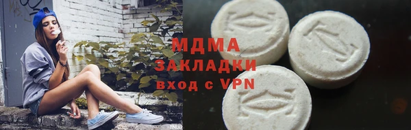 прущие грибы Богданович