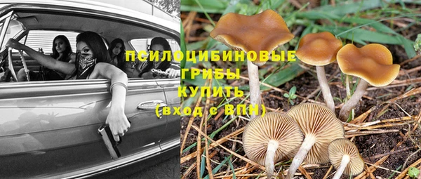 МДПВ Бугульма