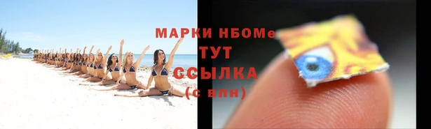 прущий лед Бородино