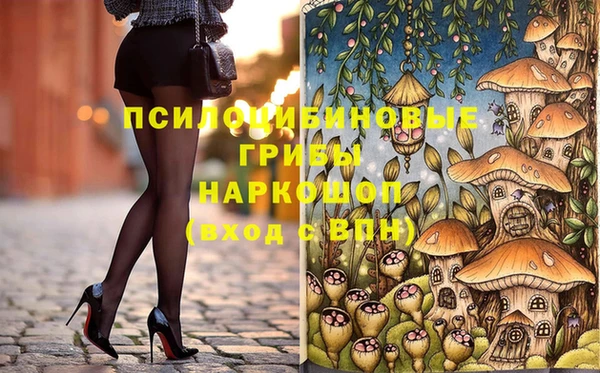 прущий лед Бородино