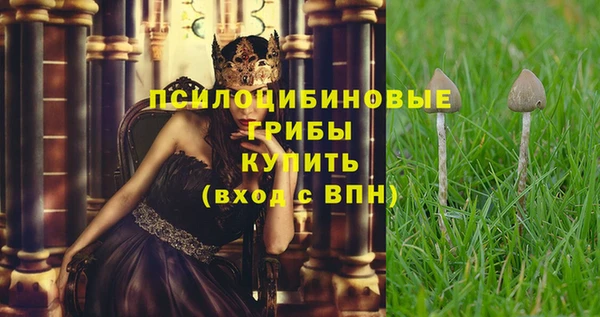 мет Богородицк
