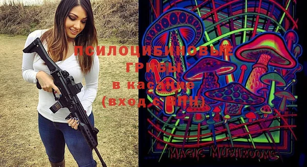мет Богородицк