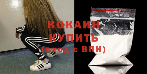 прущие грибы Богданович