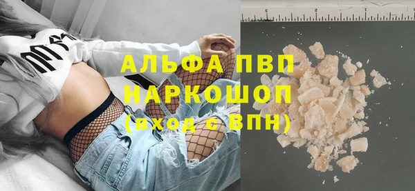 прущие грибы Богданович
