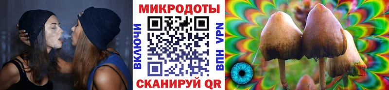 магазин наркотиков Губкинский Галлюциногенные грибы Psilocybe